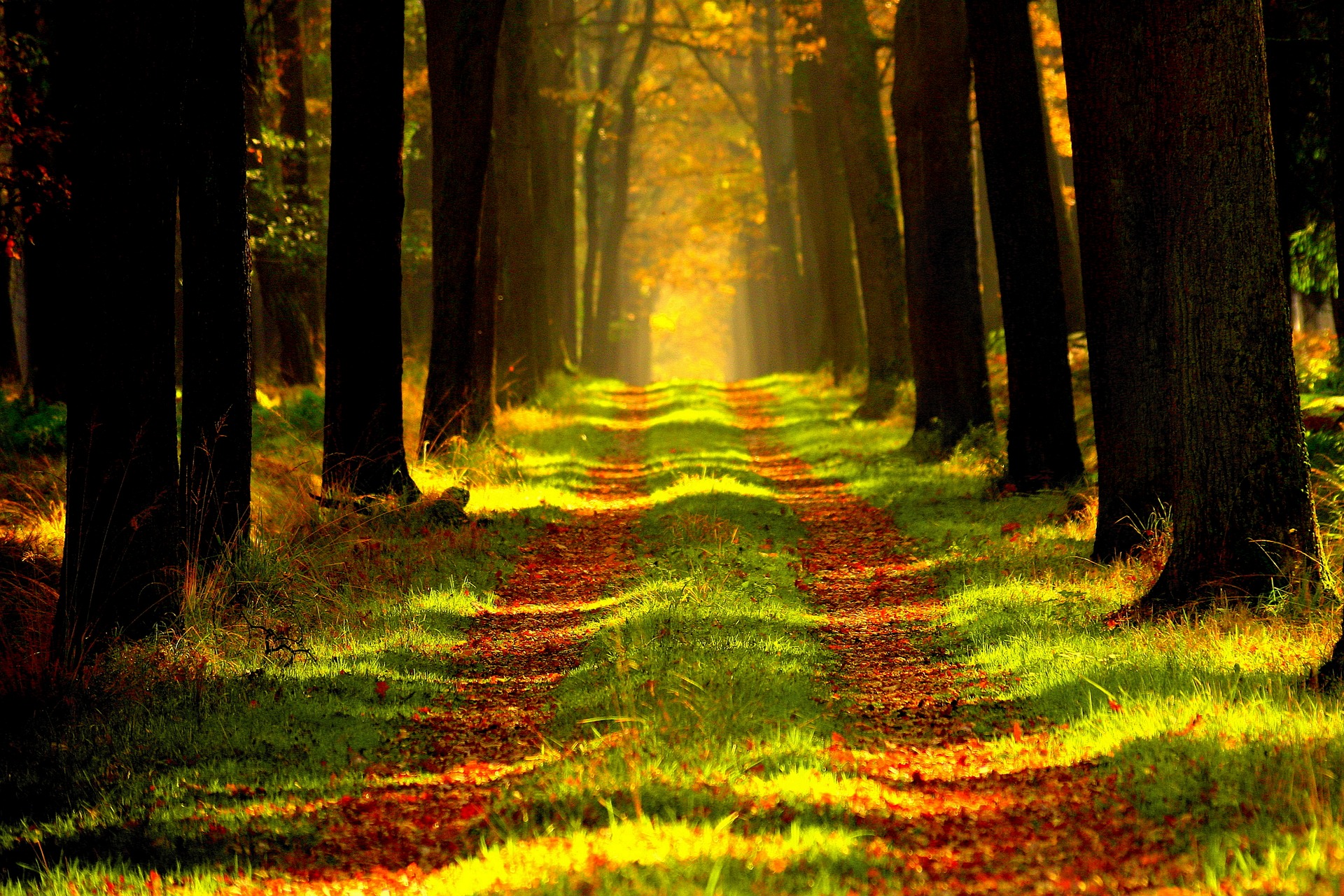 chemin icv 2